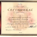 Диплом Елена Майорова